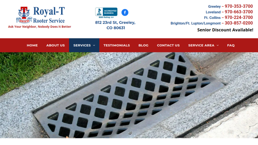 Screenshot of Royal T Rooter Service website