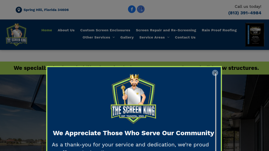 Screenshot of the The Screen King of Tampa website