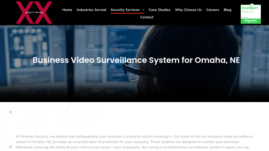 Website screenshot of Sentrixx Security