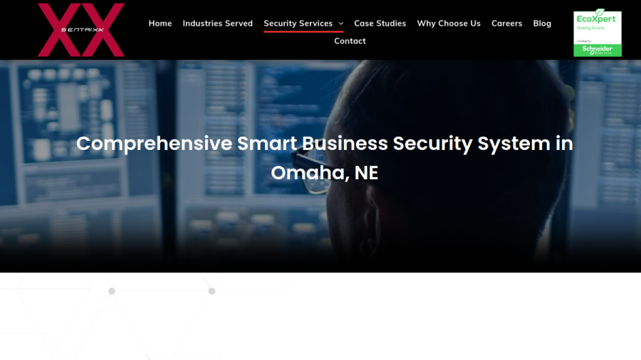 Screenshot of the Sentrixx Security website
