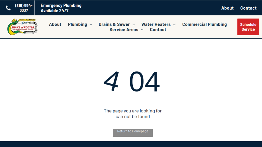 Screenshot of the Snake 'n' Rooter Plumbing Company website