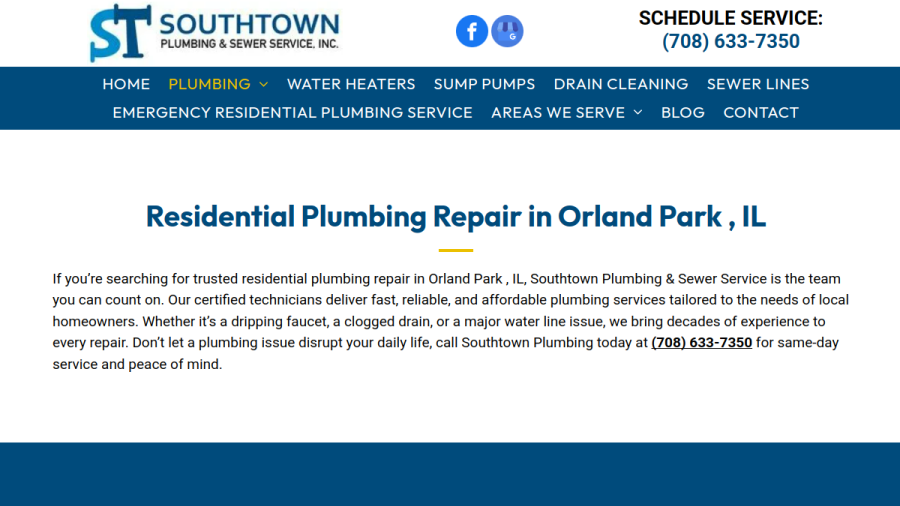 Southtown Plumbing & Sewer Inc website screenshot