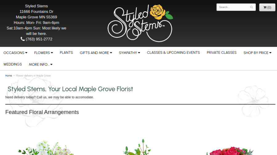 Screenshot of the Styled Stems website