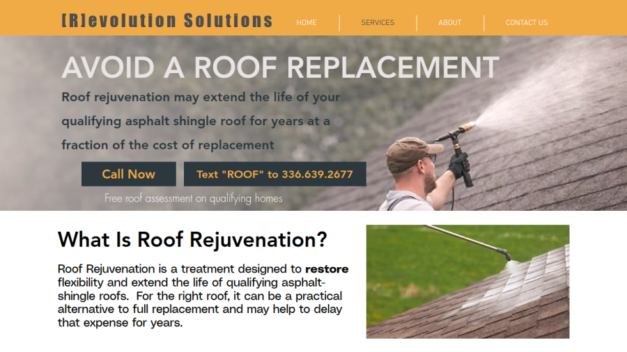 Revolution Solutions website screenshot