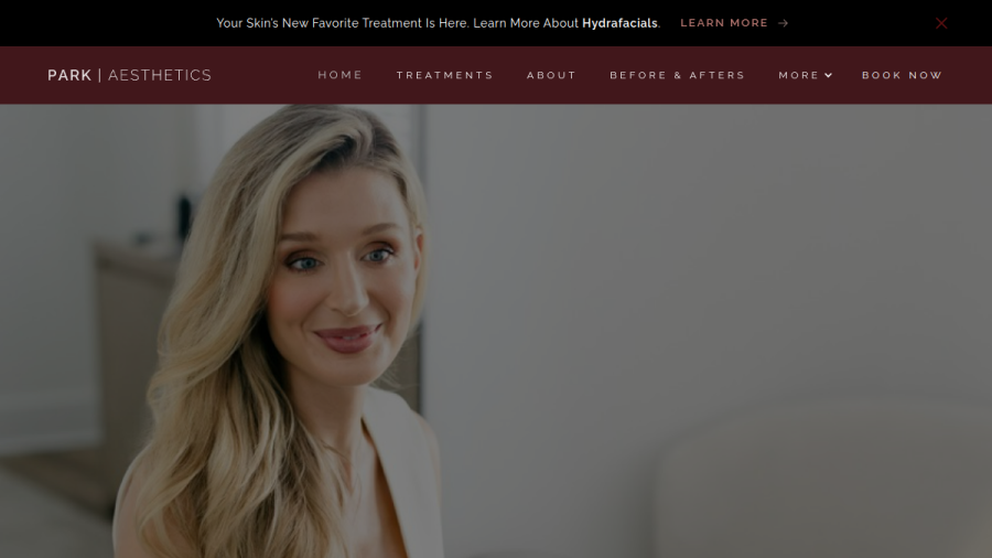 Screenshot of the Park Aesthetics website
