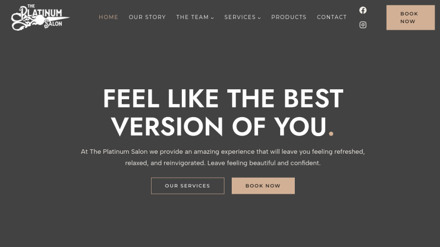 Screenshot of the The Platinum Salon website