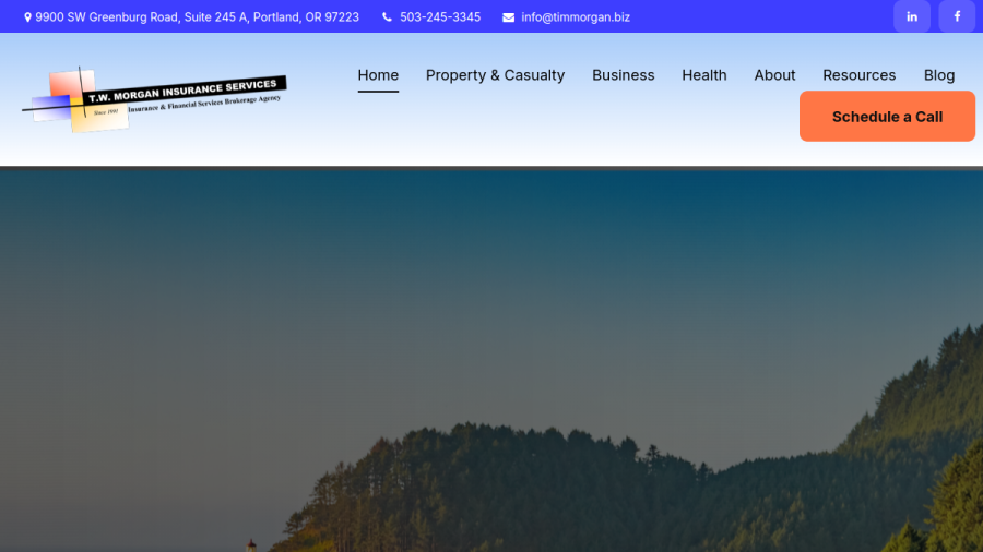 Screenshot of the TW Morgan Insurance Services, LLC website