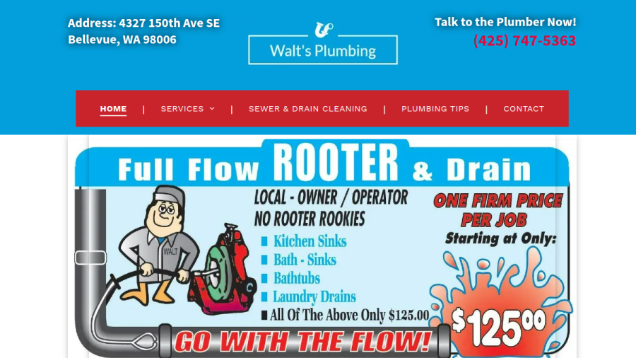Screenshot of the Walt's Plumbing website