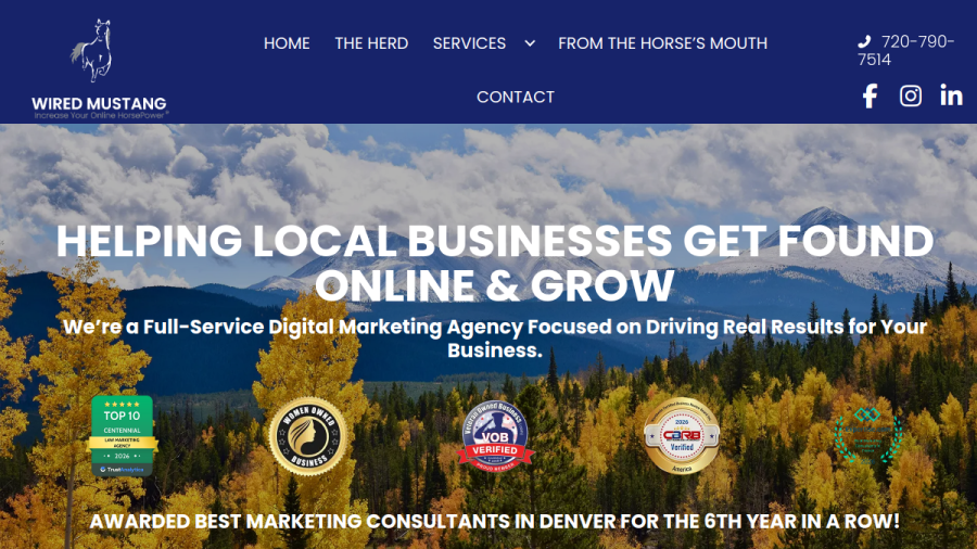 Wired Mustang Inc. website