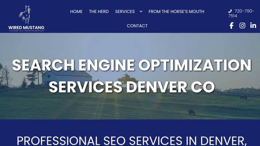 Screenshot of Wired Mustang Inc. website