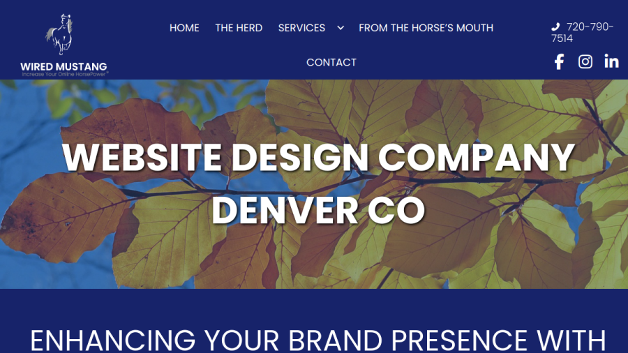 Screenshot of the Wired Mustang Inc. website