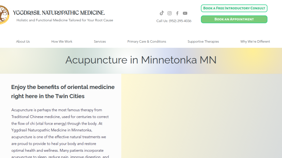 Screenshot of the Yggdrasil Naturopathic Medicine website
