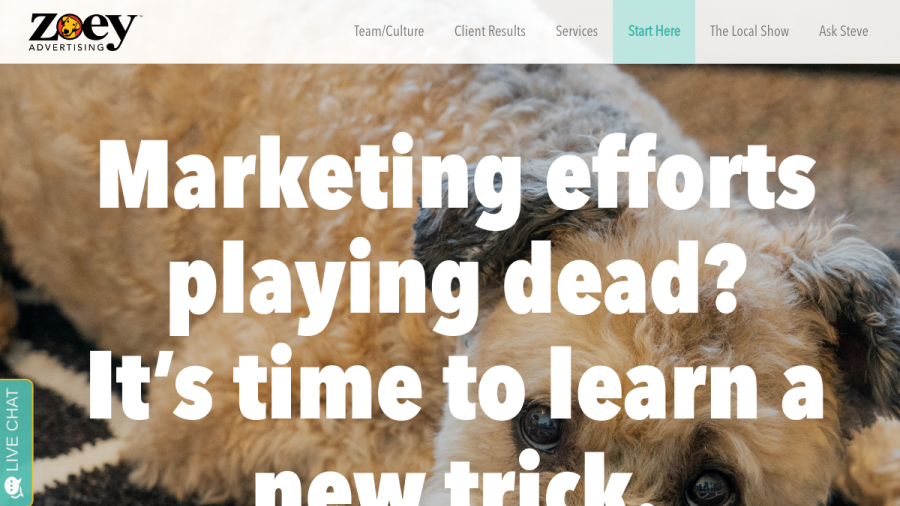 Screenshot of the Zoey Advertising website