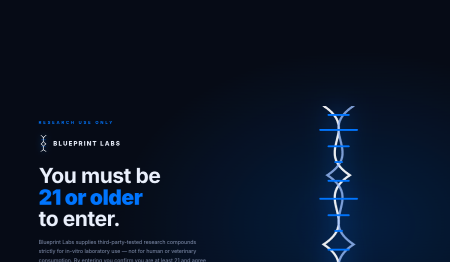 Blueprint Lab website preview
