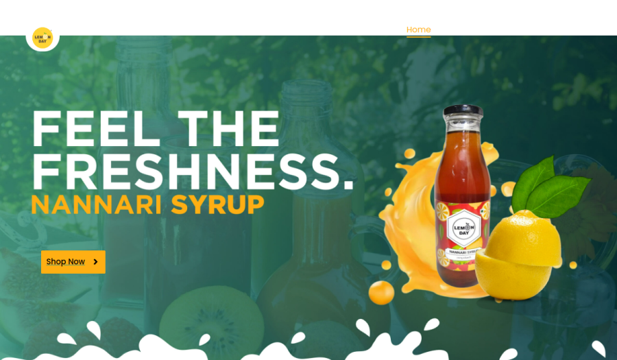 Homepage screenshot of Lemonday — Fashion & Retail website built by WebBees
