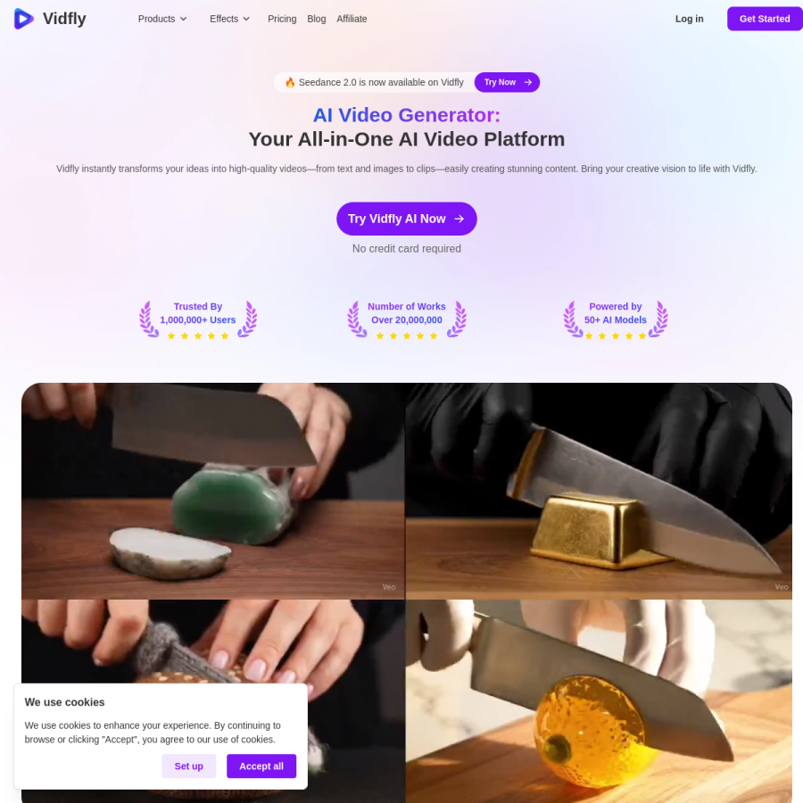 Vidfly官网 网站预览