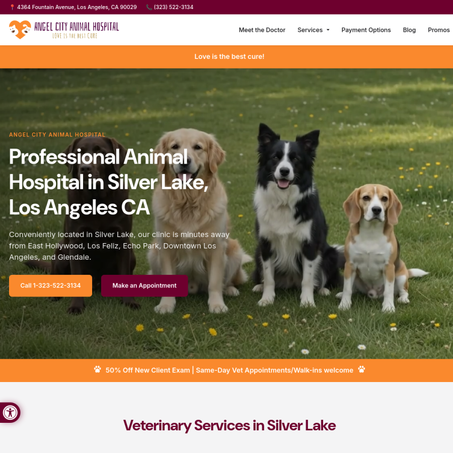 Screenshot of the Angel City Animal Hospital website