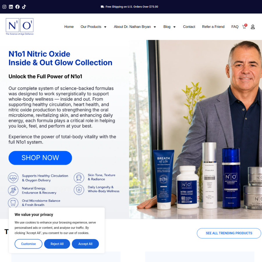 Screenshot of the n1o1 website