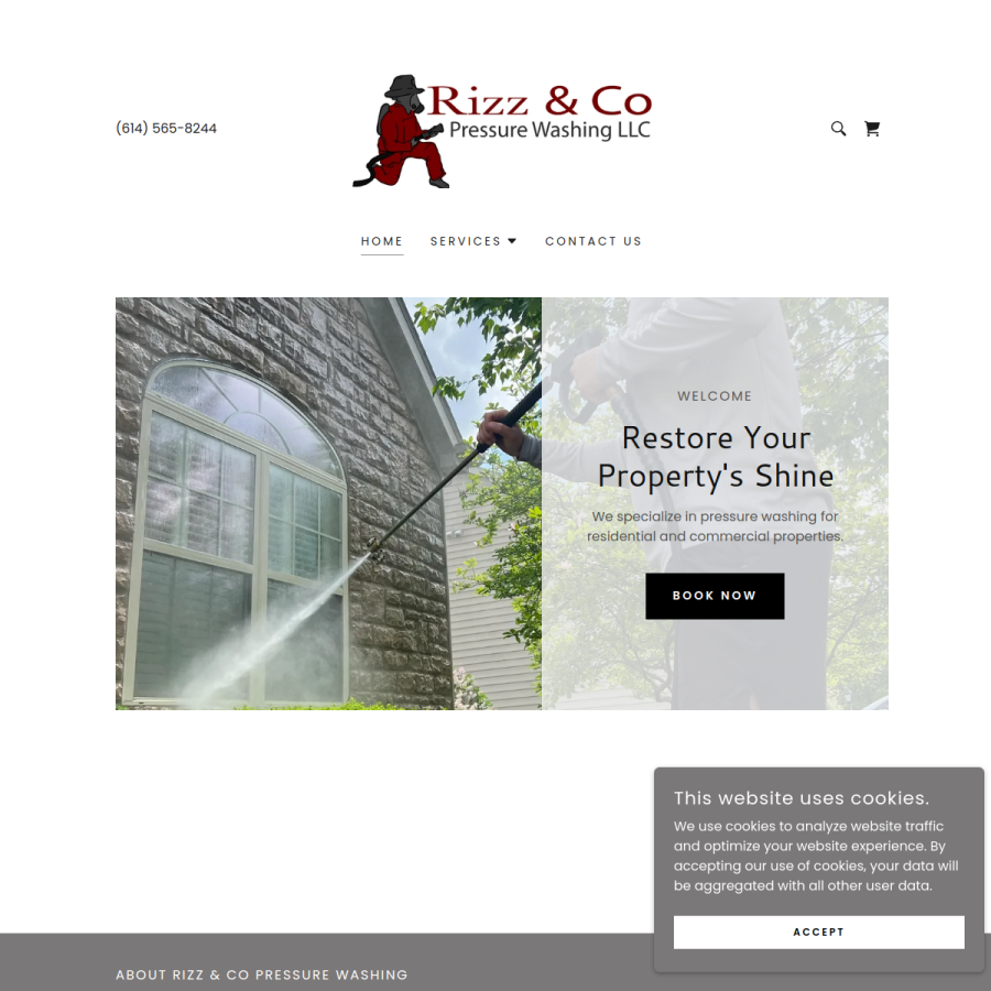 Screenshot of the Rizz & Co Pressure Washing website