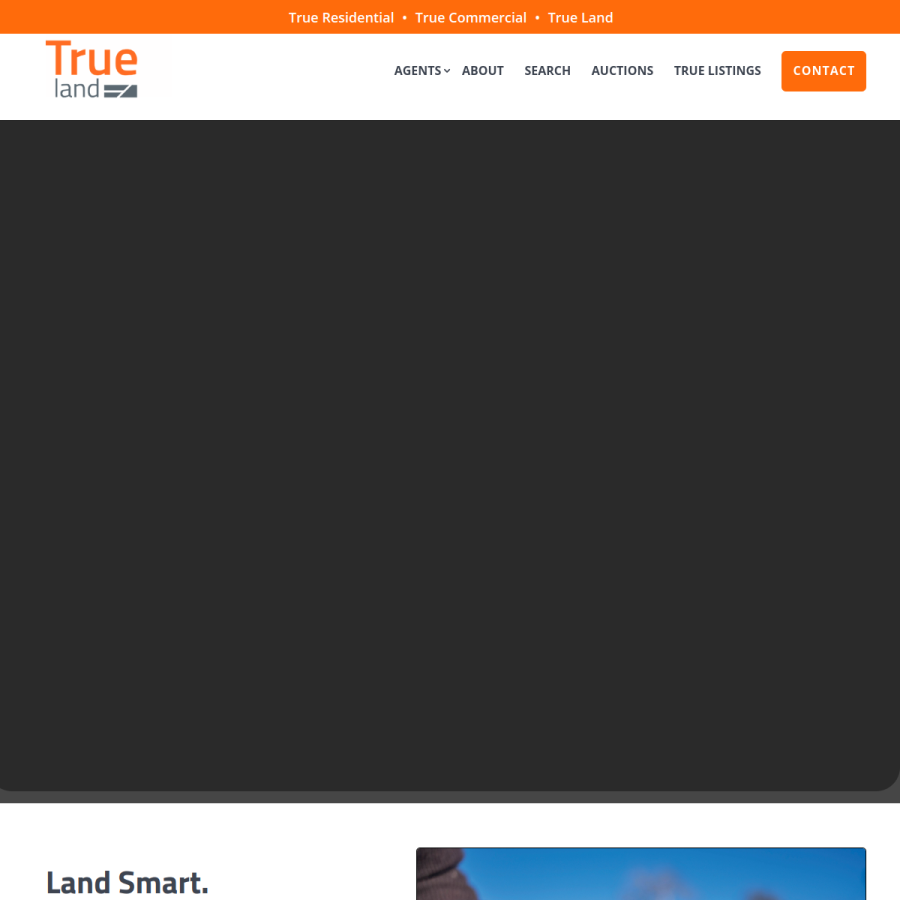 Screenshot of the True Land website