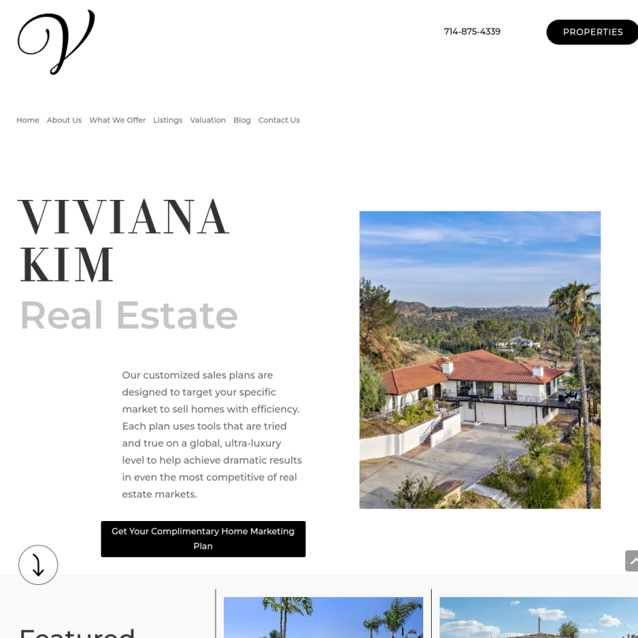 Screenshot of the Viviana Kim Real Estate website