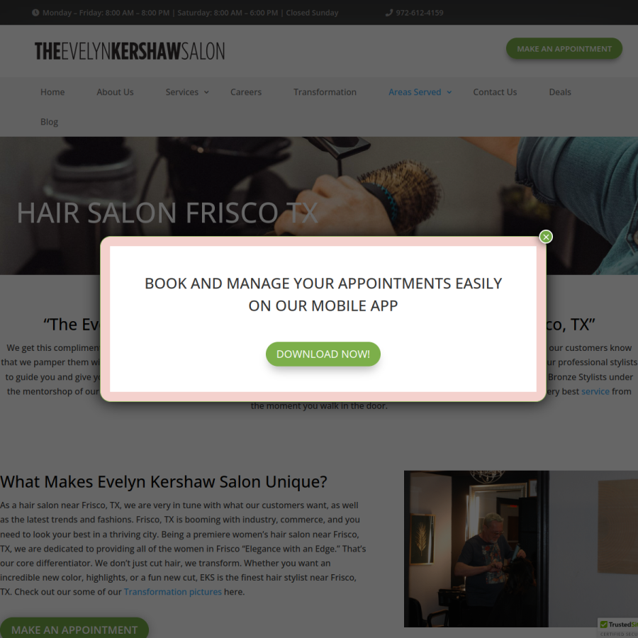 Screenshot of the The Evelyn Kershaw Salon website