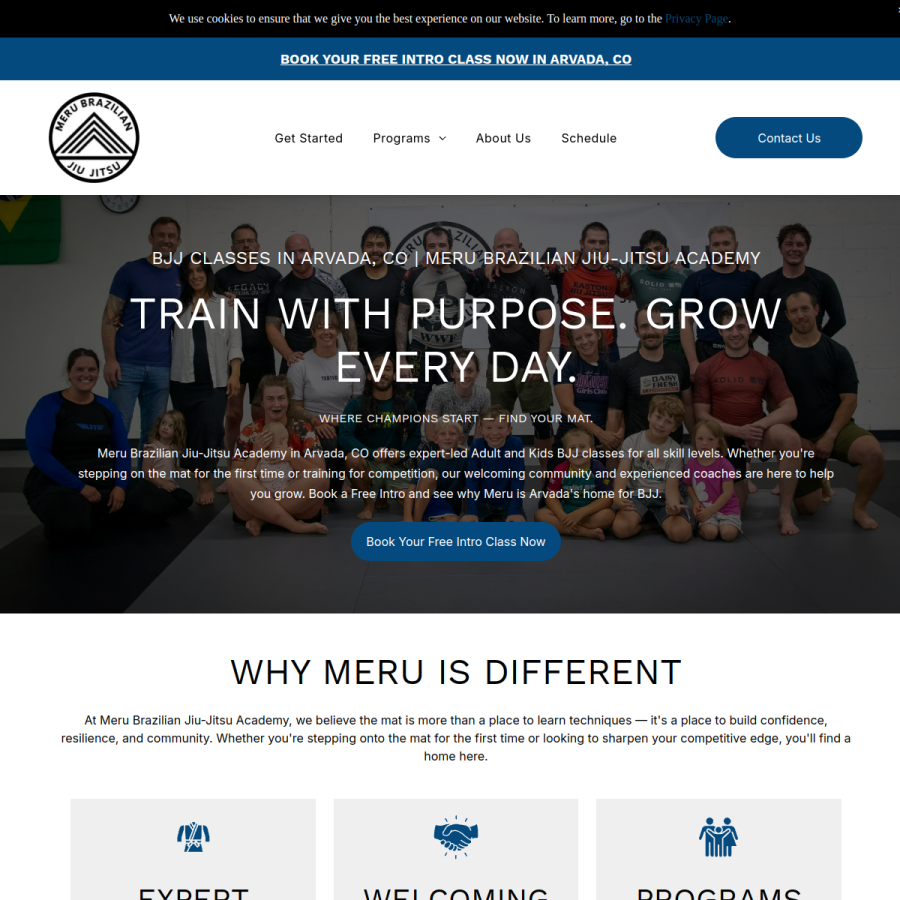 Screenshot of the Meru Brazilian Jiu-Jitsu Academy website