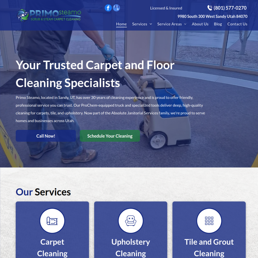 Screenshot of the Primo Steamo website