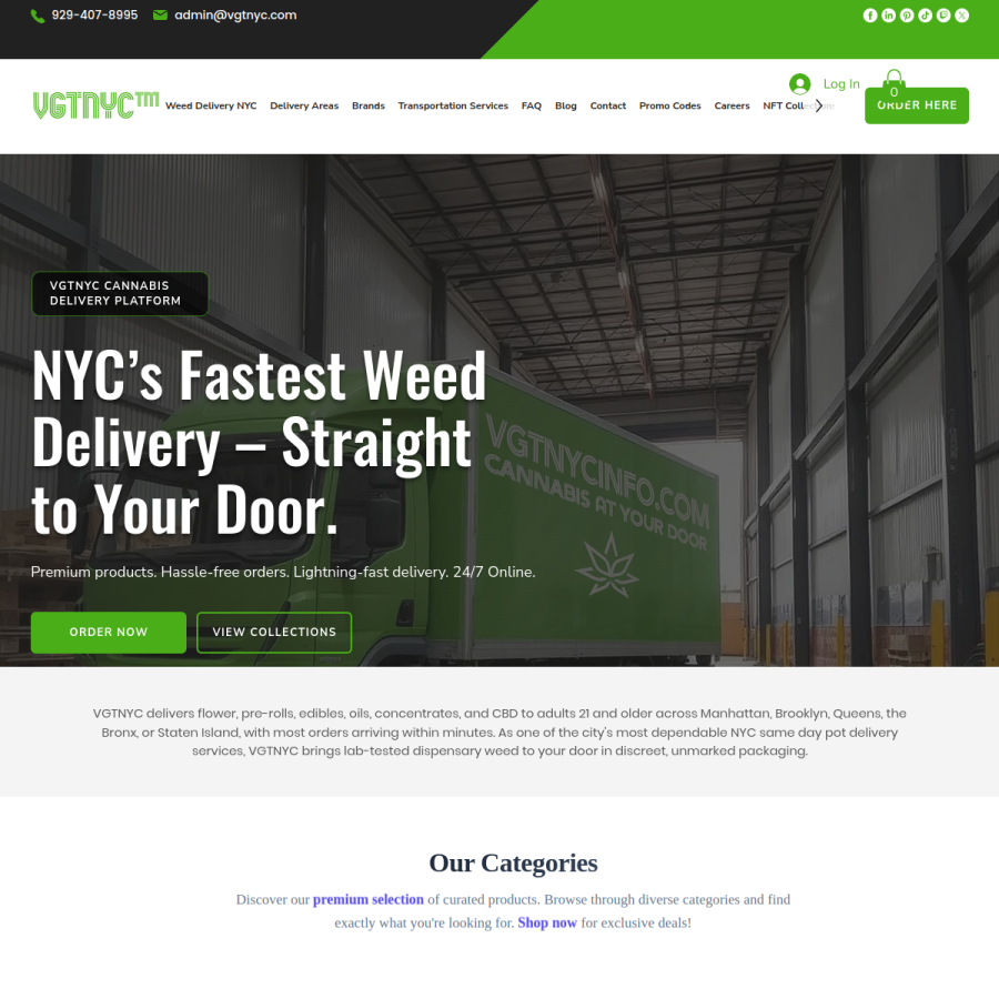 Screenshot of the Vgtnyc website