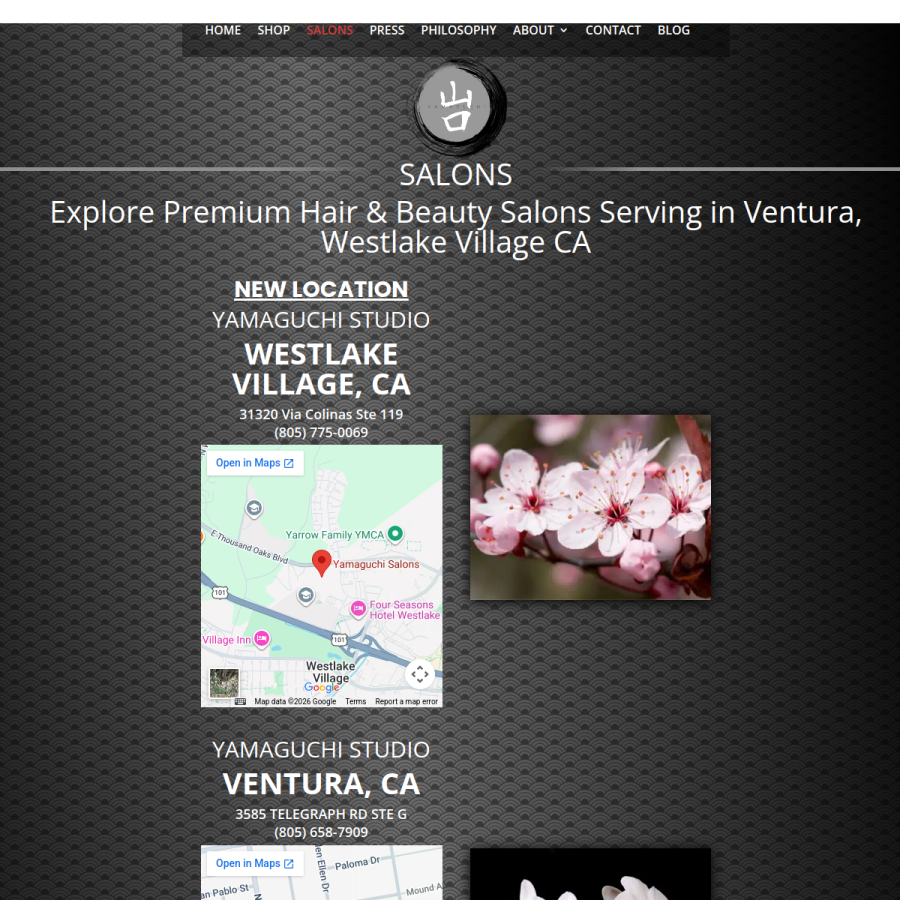 Screenshot of the Yamaguchi Salons website