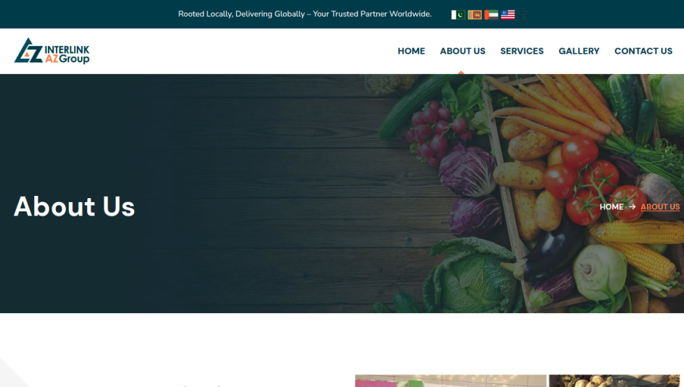 Interlink global company profile